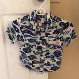 Fish button up